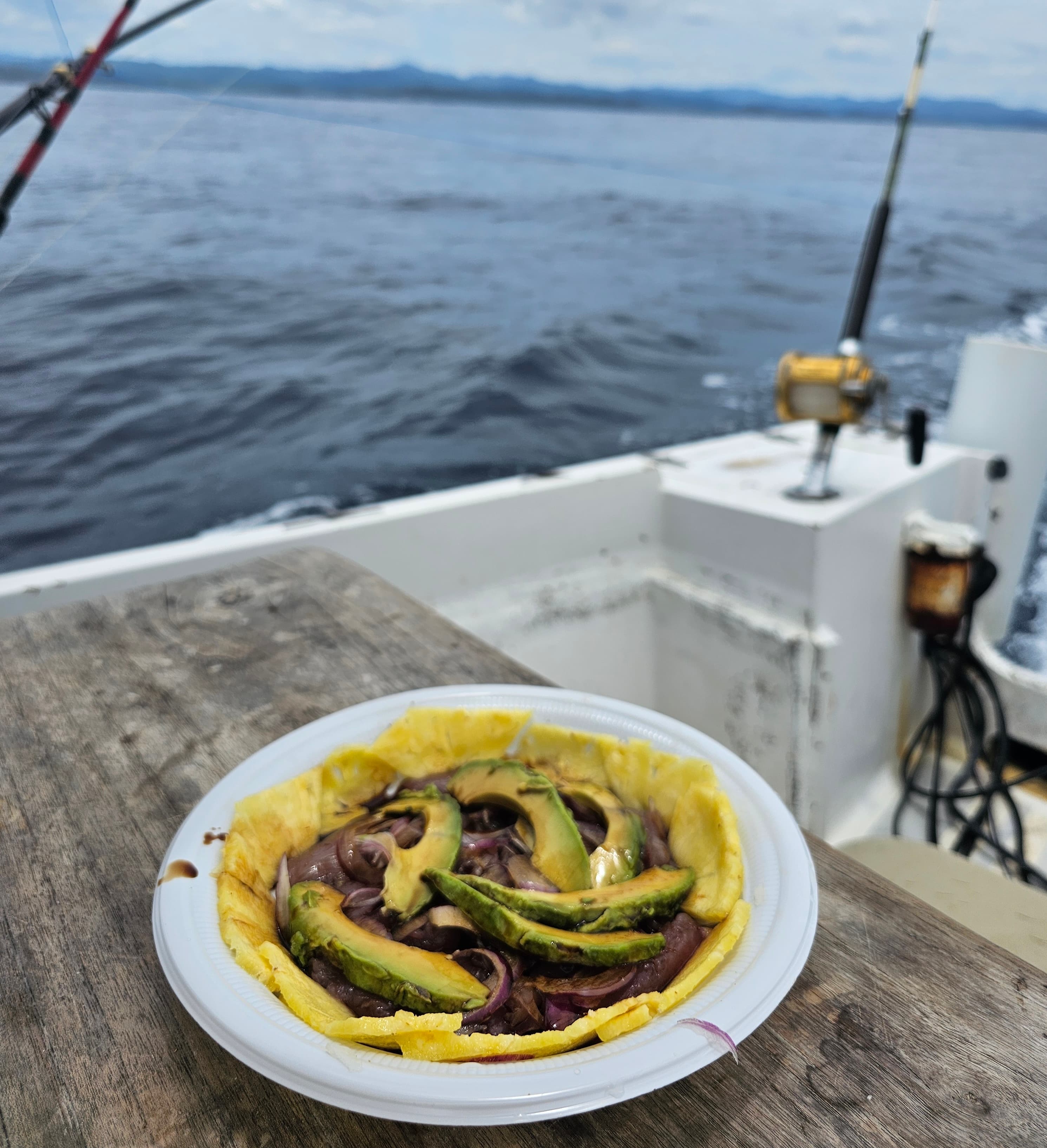 Fresh Sashimi On Board